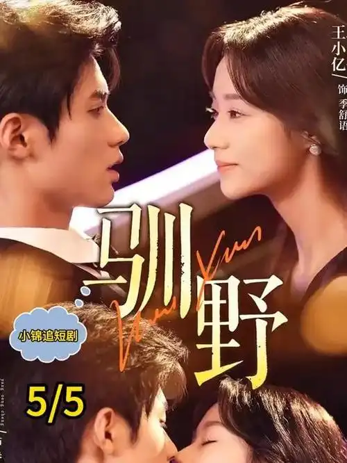 山与海之间 都市情感热播剧集